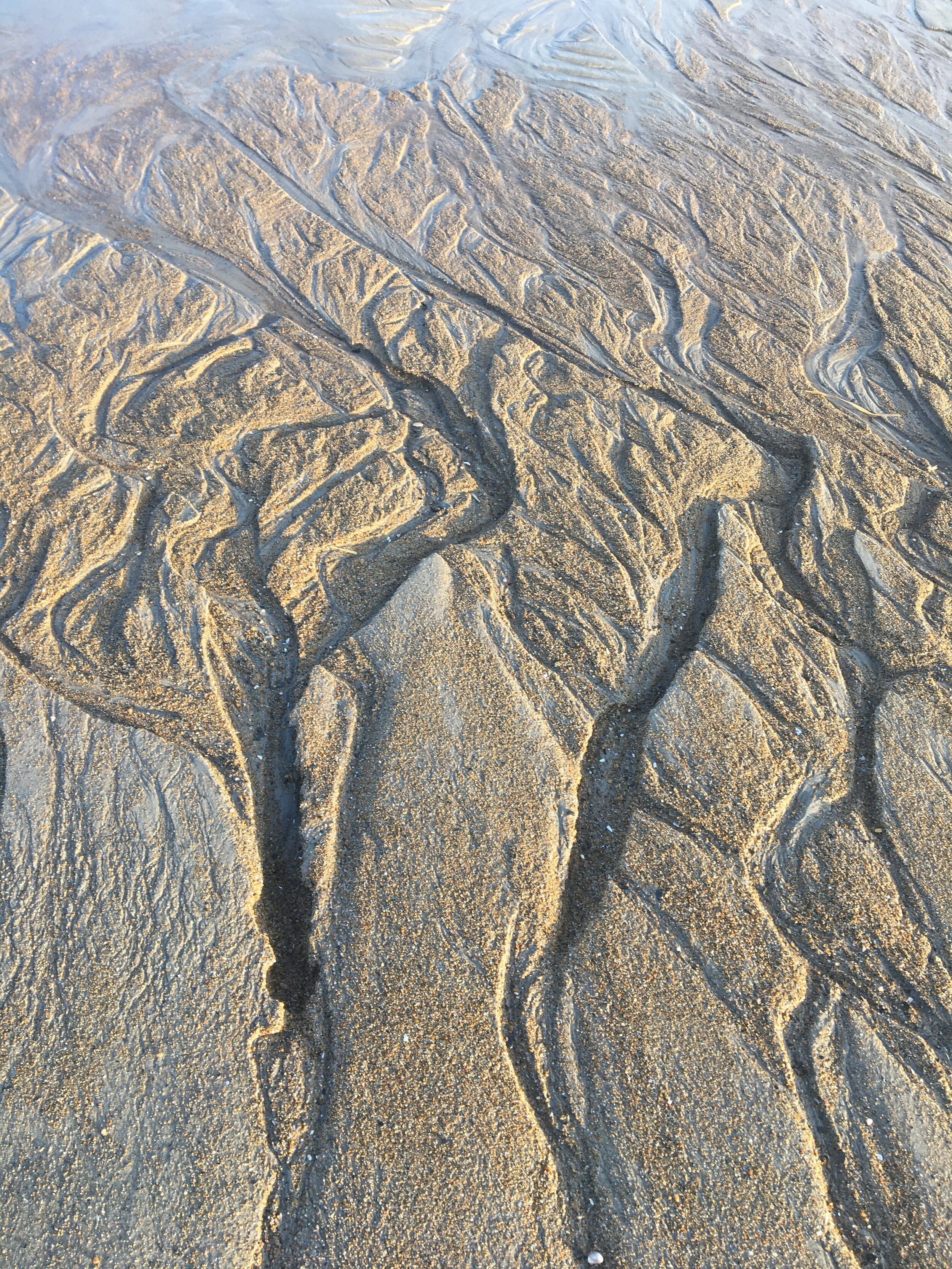  Sand and water in motion at Seabrook beach. Credit Justine Paradis. 