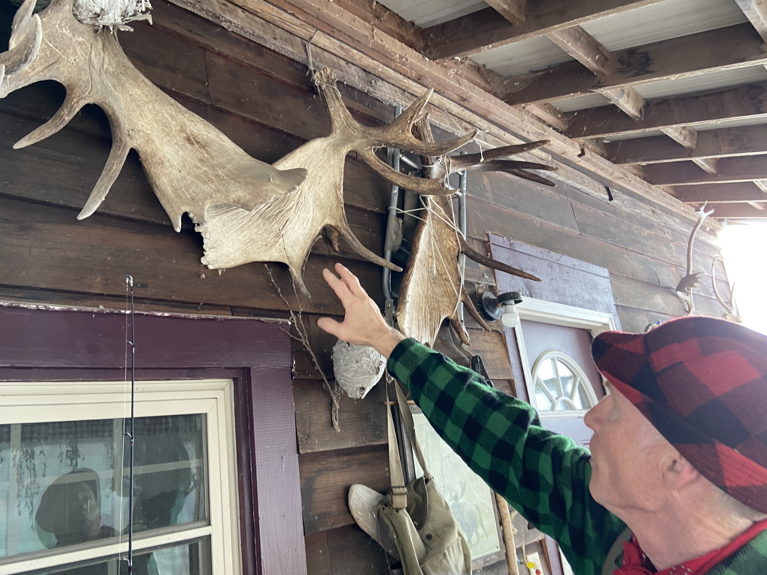  Shed-hunter Will Staats points out some of the many, MANY moose antlers on his property.  Credit Jessica Hunt 