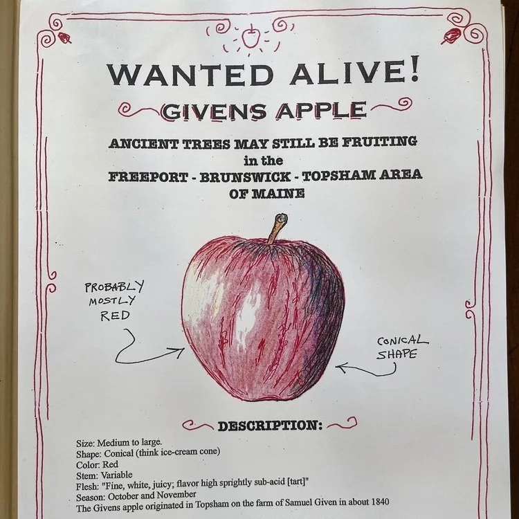 As American as hard apple cider: an immigrant food story