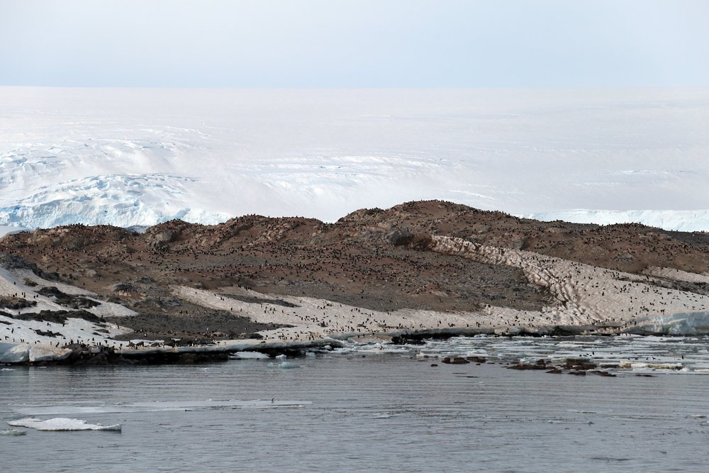  The rocky shores of Antarctica, ice looming in the backdrop. Credit: Elizabeth Rush. 