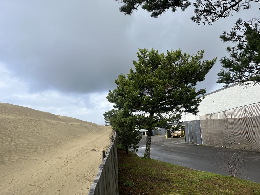  While a fence separates the Fred Meyer grocery store and the open sand, locals regularly see tractors hauling sand off the parking lot. Photo by Justine Paradis. 