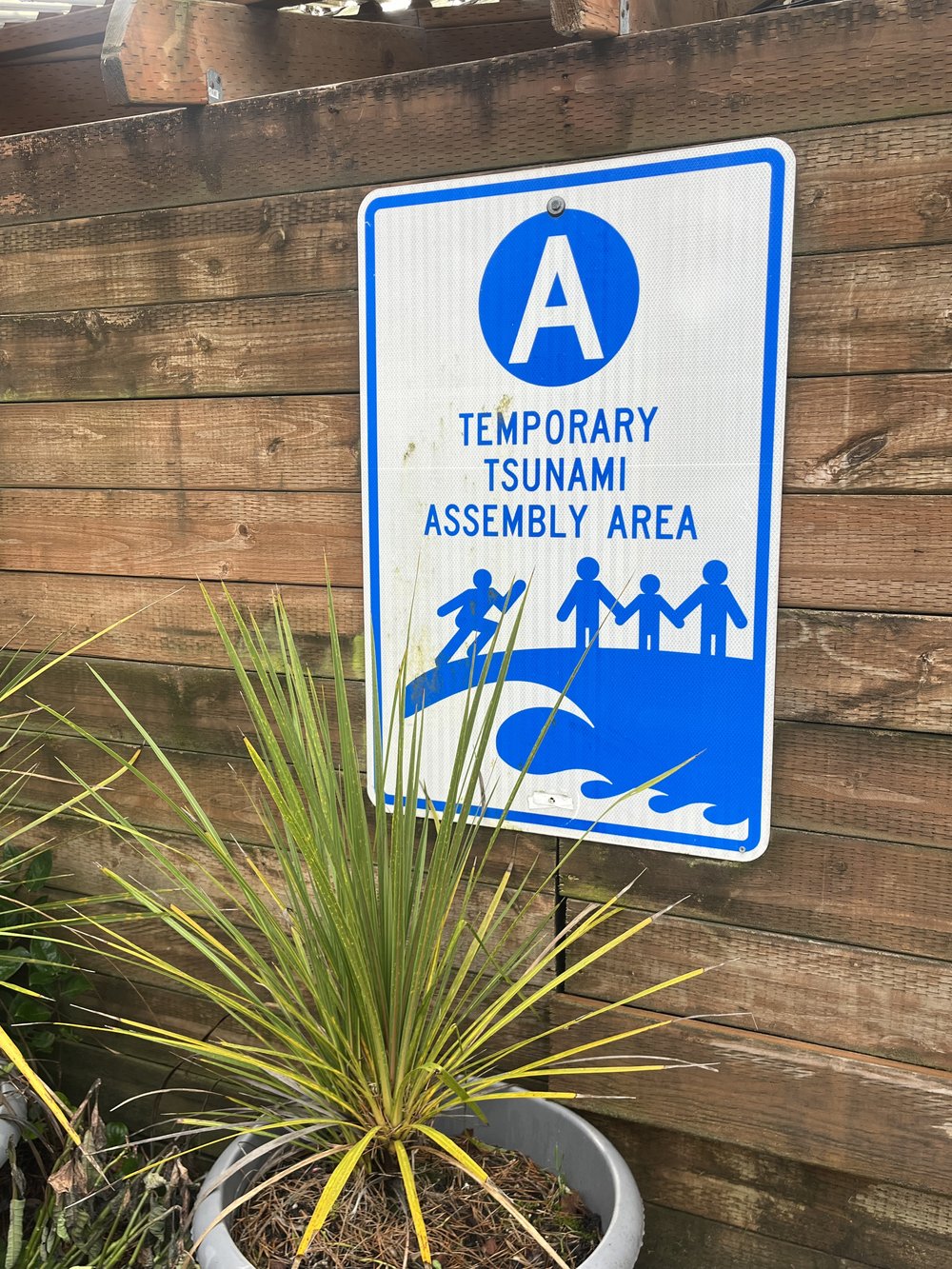  Sign announcing a “Temporary Tsunami Assembly Area” on a bar in Florence, Oregon. Photo by Justine Paradis. 