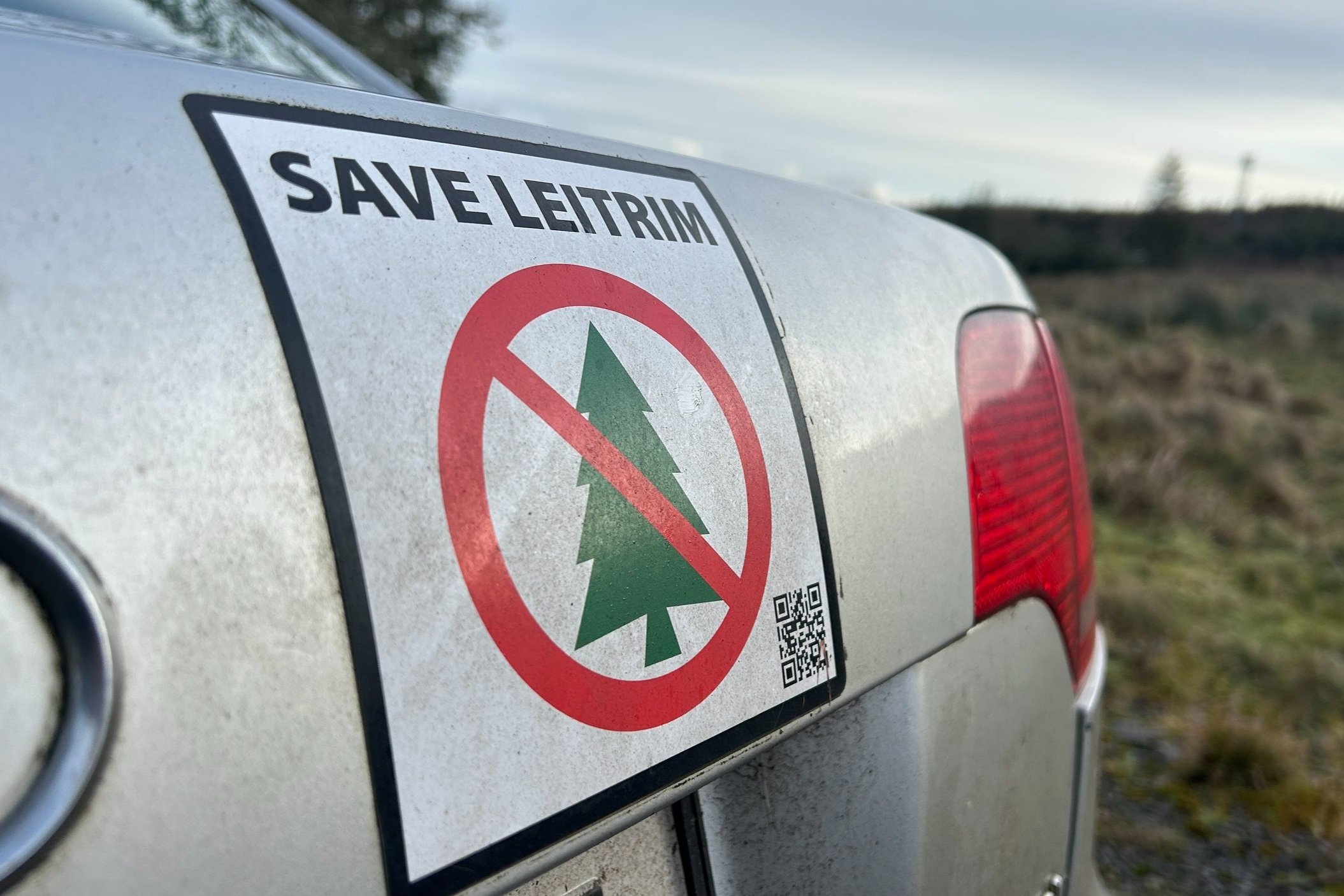 The Emerald Forest: Why Irish farmers aren’t happy about some American trees