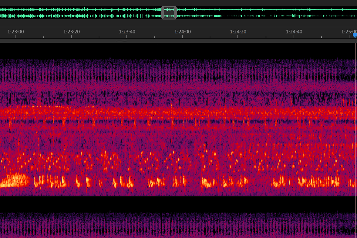 Decoding nature’s symphony