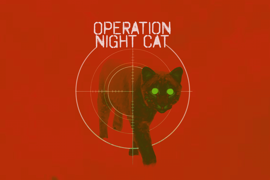 Operation Night Cat Update: New Plea Deals and Charges