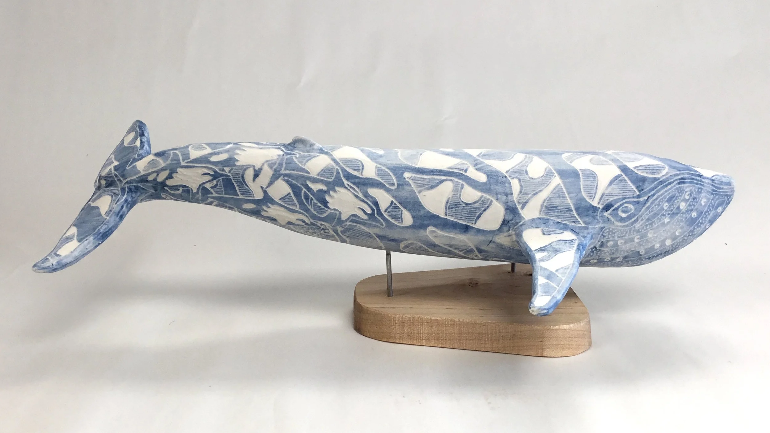Blue Whale with Dolphins