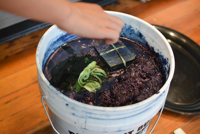 Shibori Japanese Indigo Dye (11 of 32).jpg