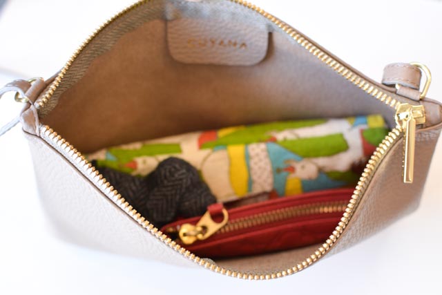 cuyana crossbody pouch