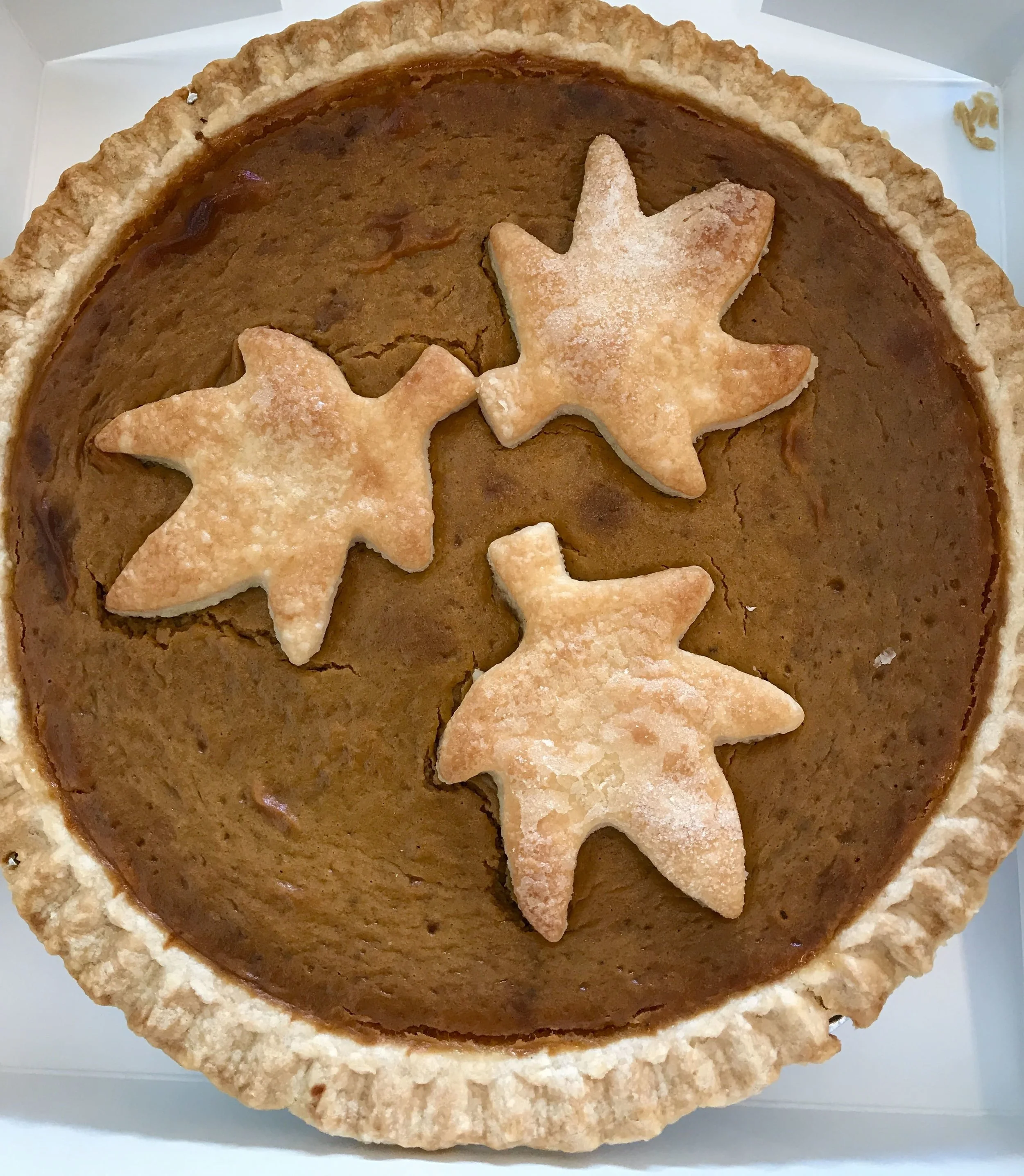 The pie I've been obsessed with all week