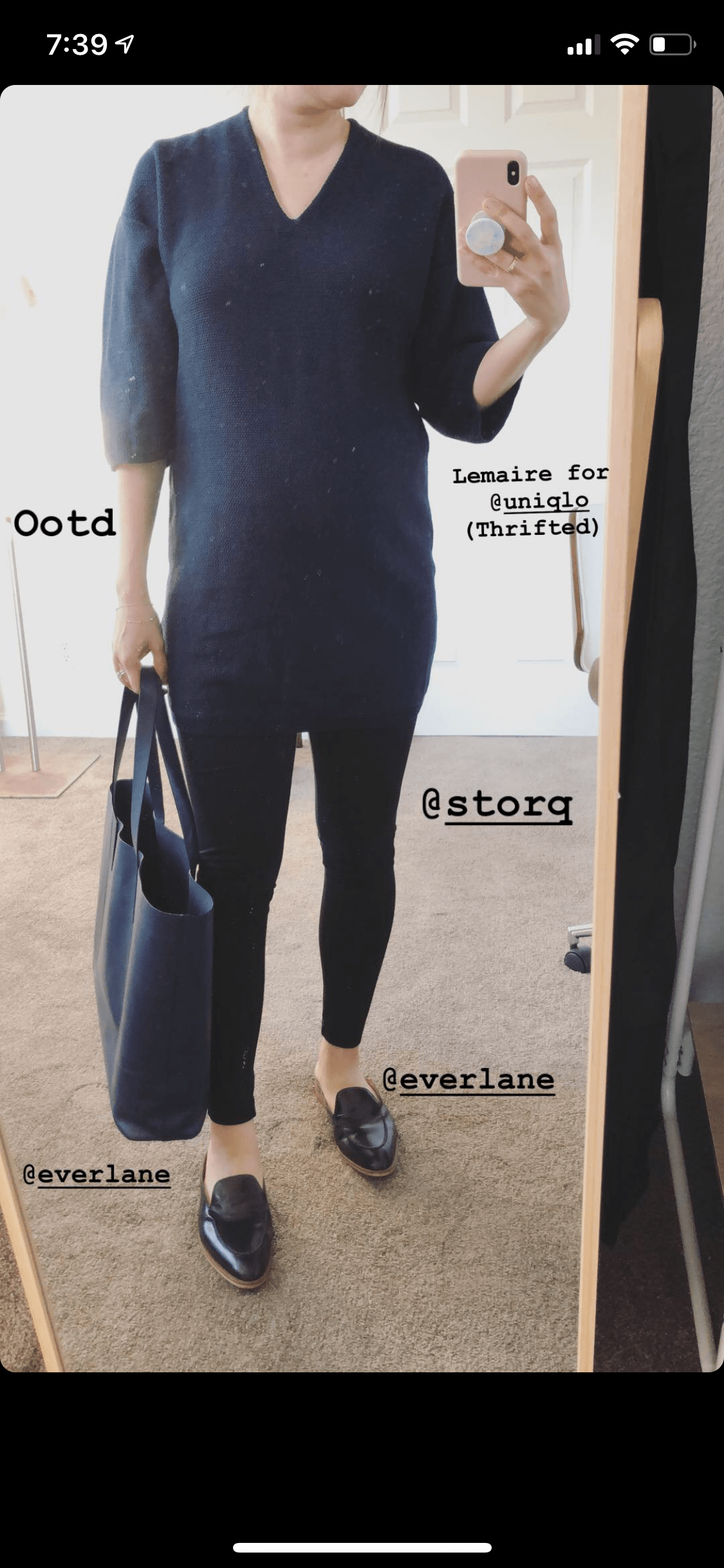 everlane the day market tote
