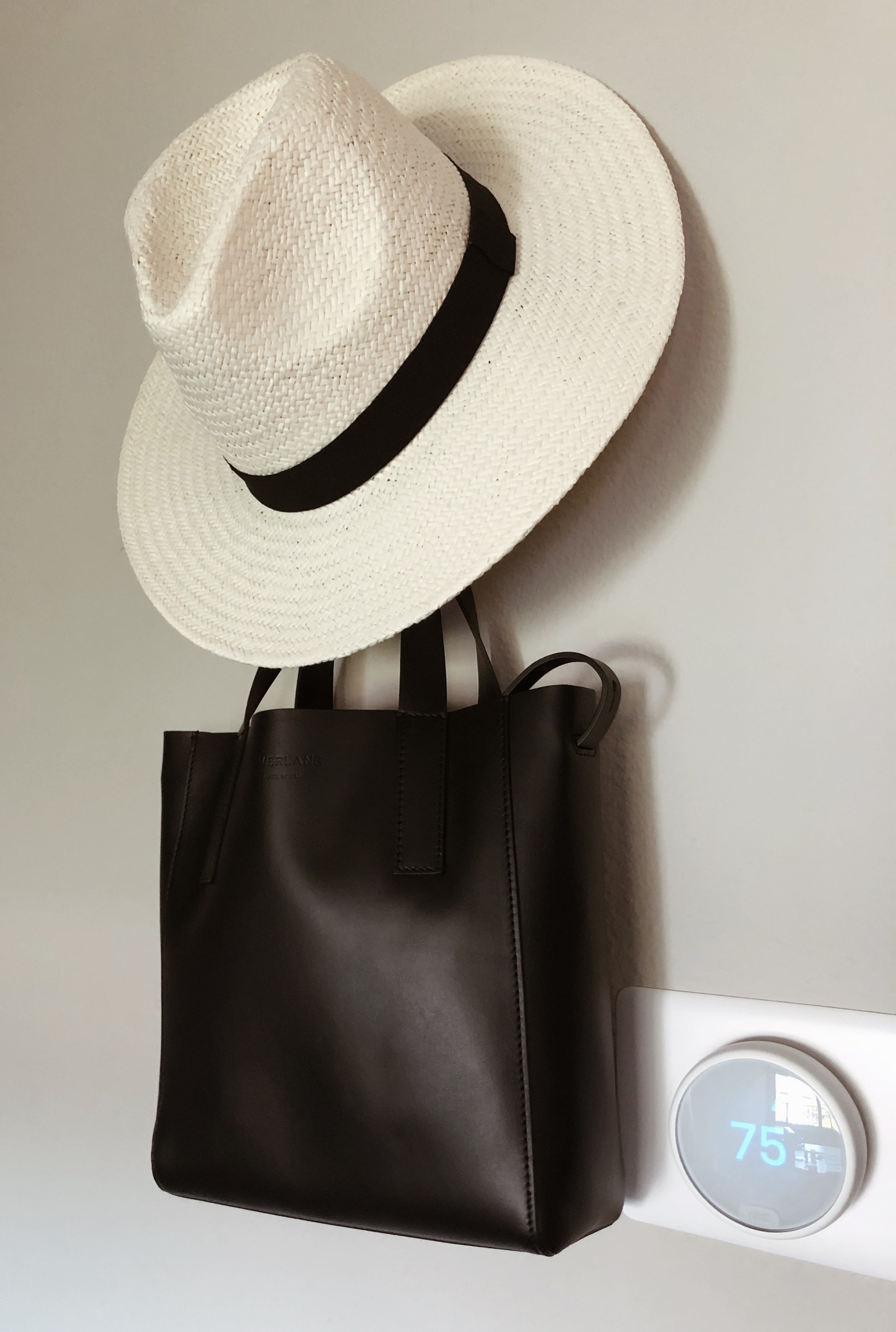 Everlane Review: The Day Tote Mini — Fairly Curated
