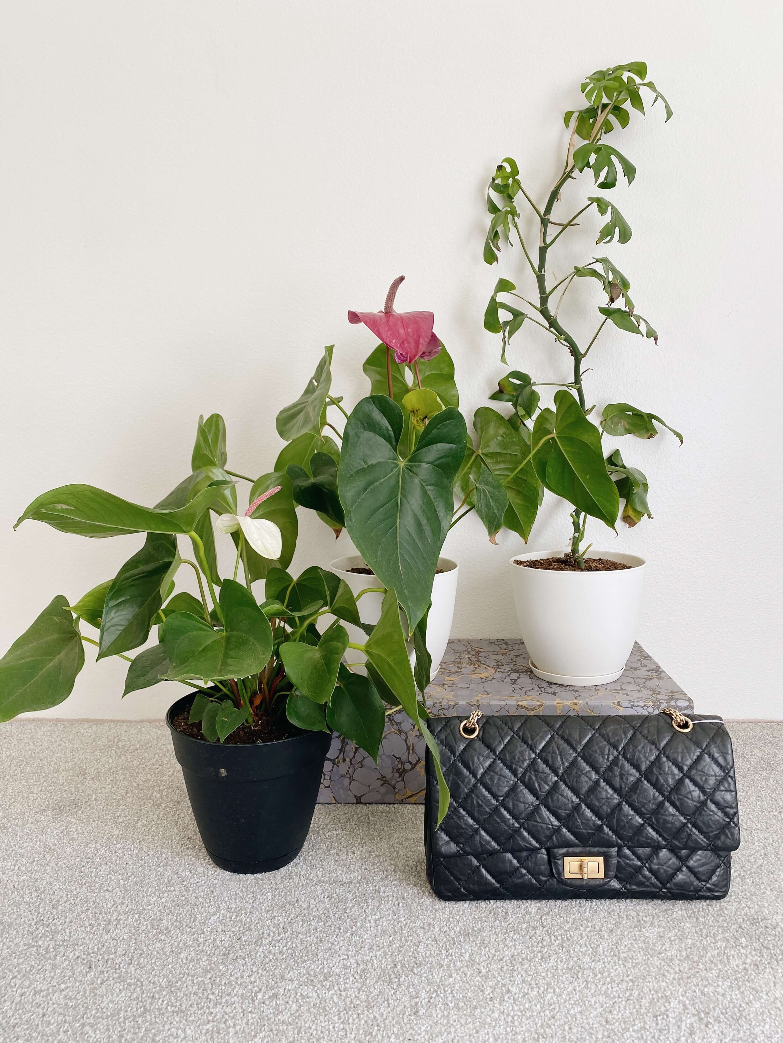 Chanel Reissue  227 Bag Review — Fairly Curated