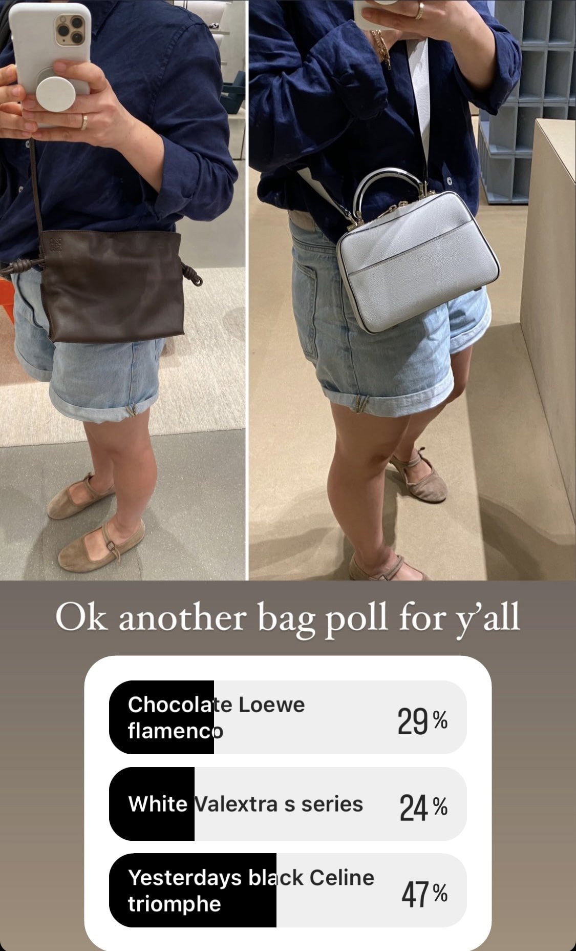 Help me decide - BV mini loop or Loewe mini flamenco : r/handbags