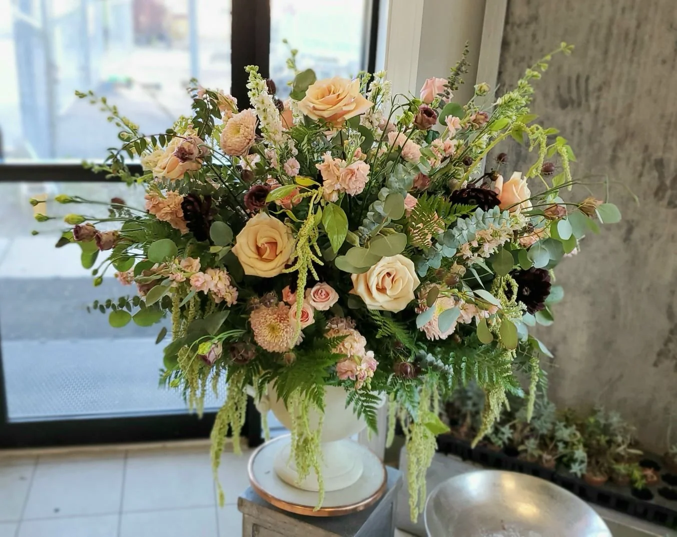 FFD-VD-005 Serenade.JPEG