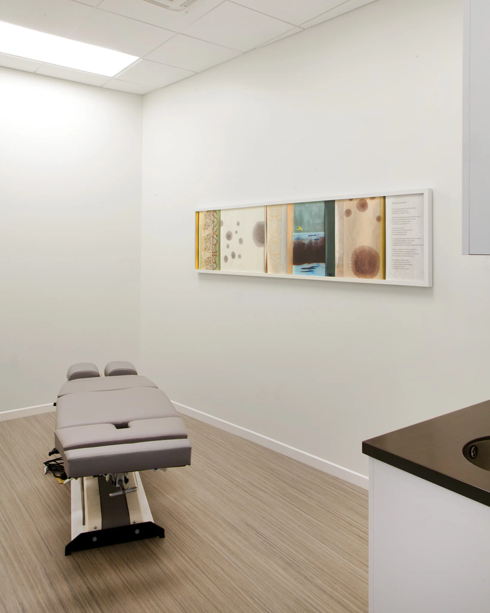 Dorothy Stites Alig (Indianapolis, IN) Ghazal 20 & 23 , 2011 Archival fine art pigment print 20 x 83 in each (unframed), 22 x 85 framed Edition of 1, plus one AP One of two prints installed in the two chiropractic rooms. ALL PHOTOGRAPHY (C) Hadley Fruits, 2016