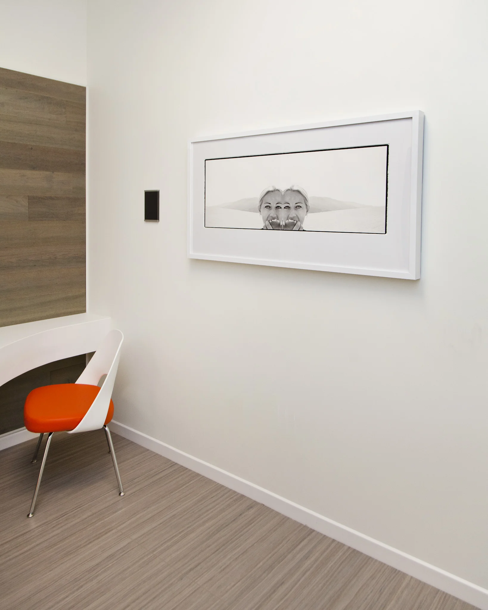 Darlene Delbecq (Rushville, IN and Indianapolis, IN) Tart , 2015 Archival pigment print 14 x 40 inches Consultation suite. ALL PHOTOGRAPHY (C) Hadley Fruits, 2016