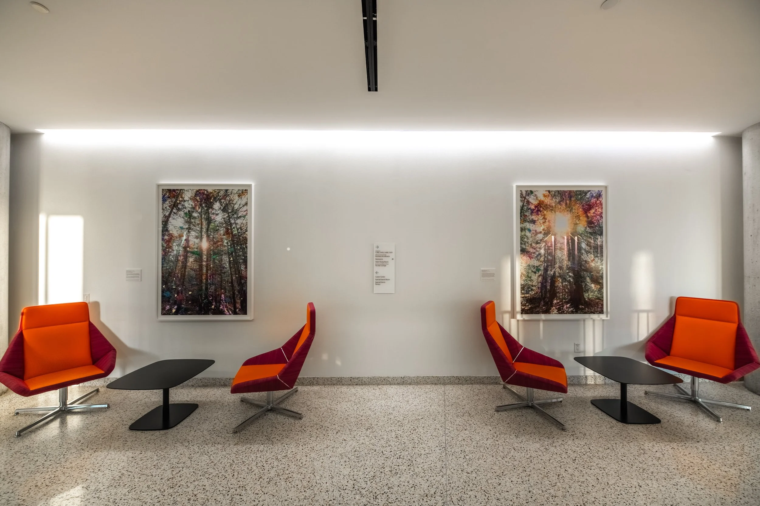   Sarah Anne Johnson  (Canadian, b. 1976)  “Glow (Cedar Forest),” 2025 “Sun Burst (Cedar Forest),” 2025 Pigment print with oil paint and holographic tape Artist’s proof 64 5/8 x 44 5/8 inches framed, each  Johnson’s digitally altered photographs are 