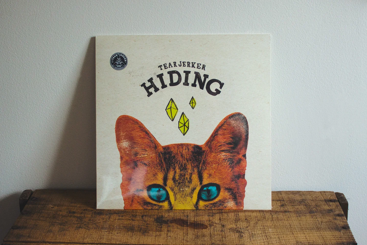 hidingrecord9.jpg