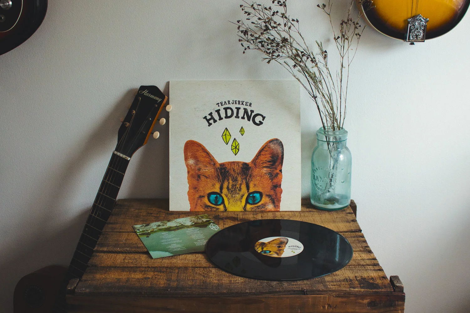 hidingrecord4b.jpg