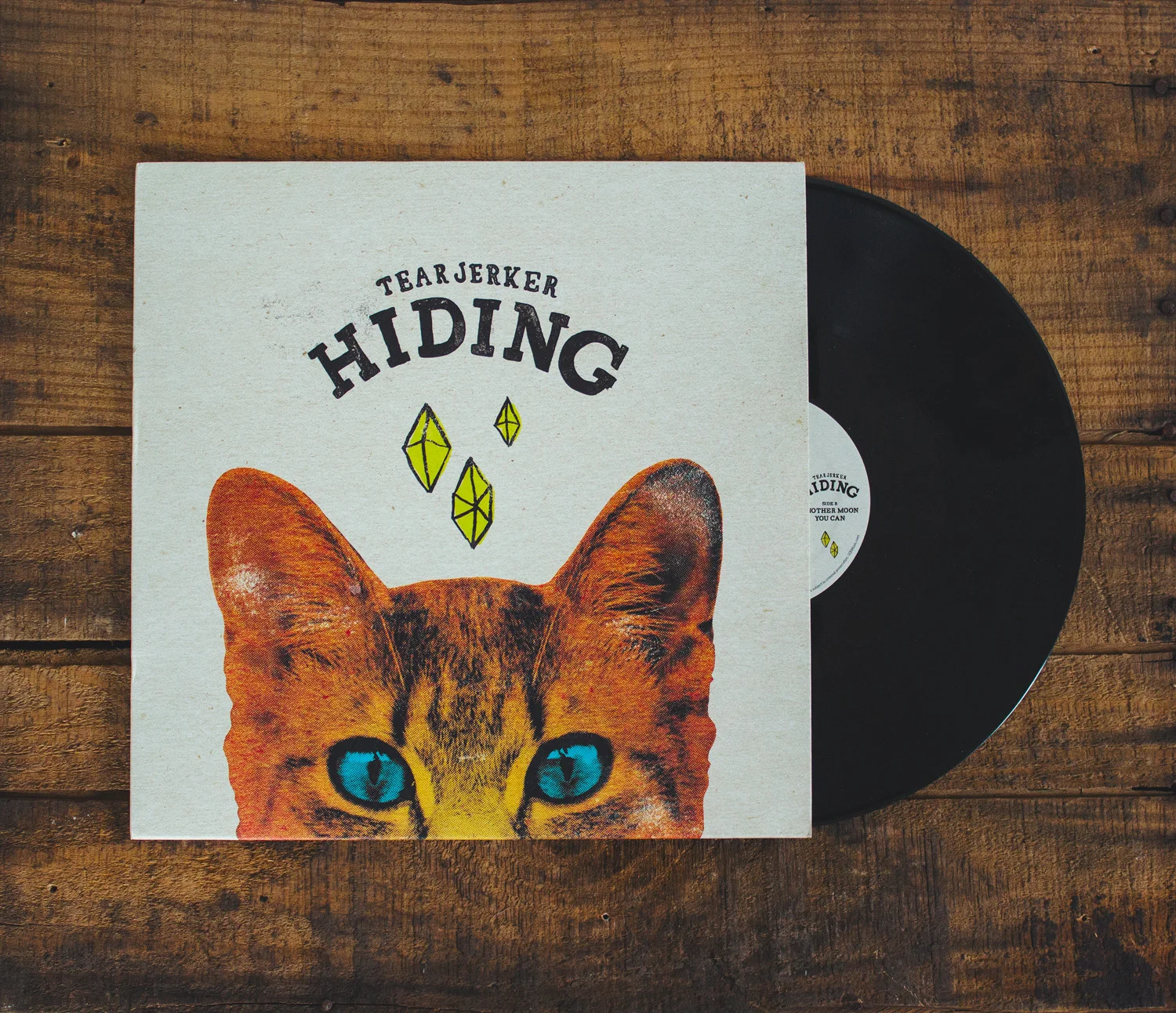 hidingrecord5.jpg
