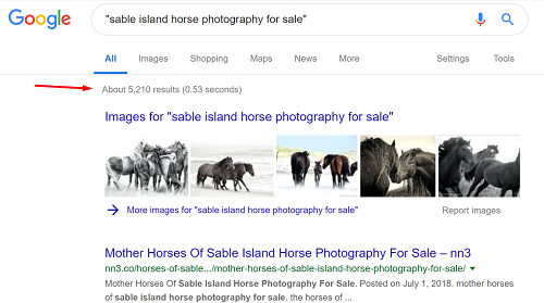 2019-03-09 - Google - Results with Quotes.png