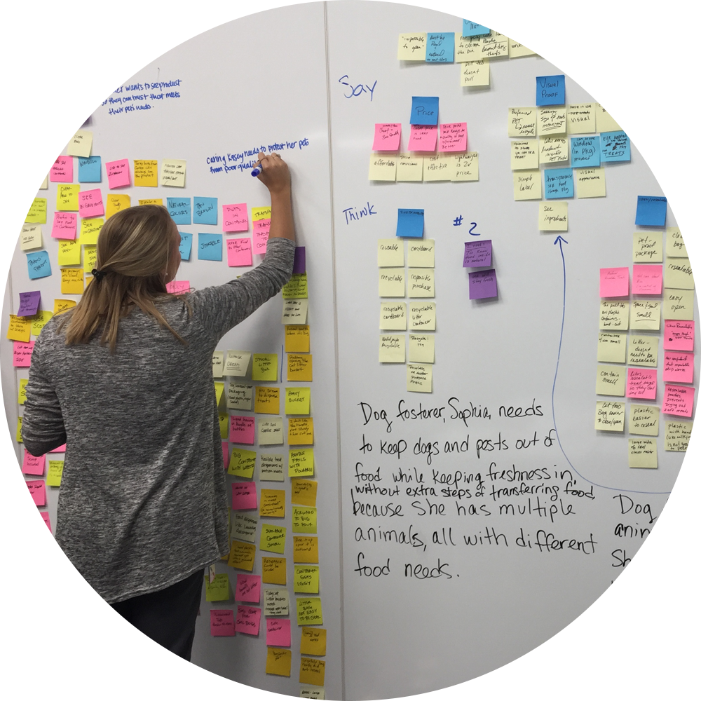 consumer-insight-sprint.png