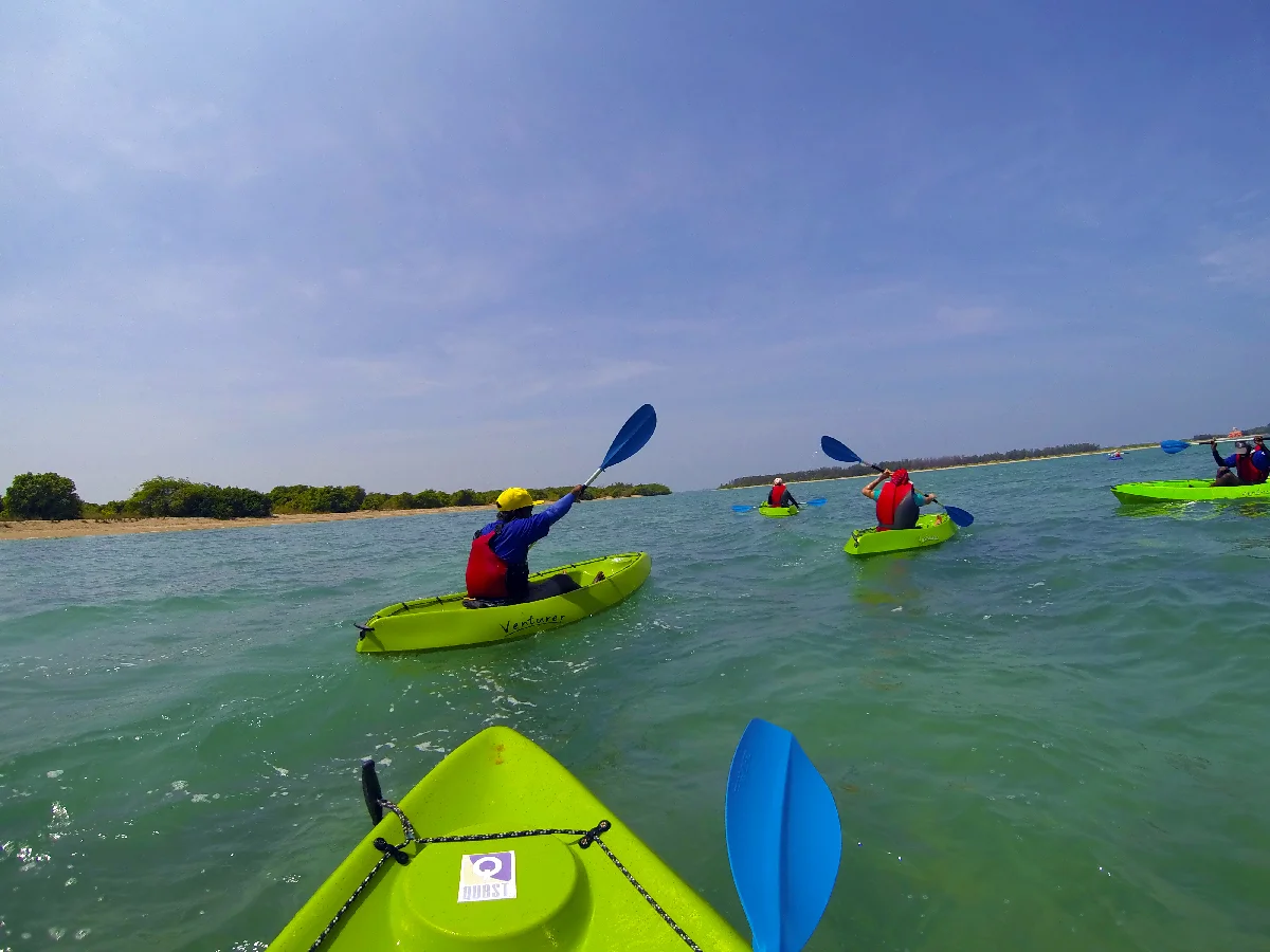 Paddle for the environment