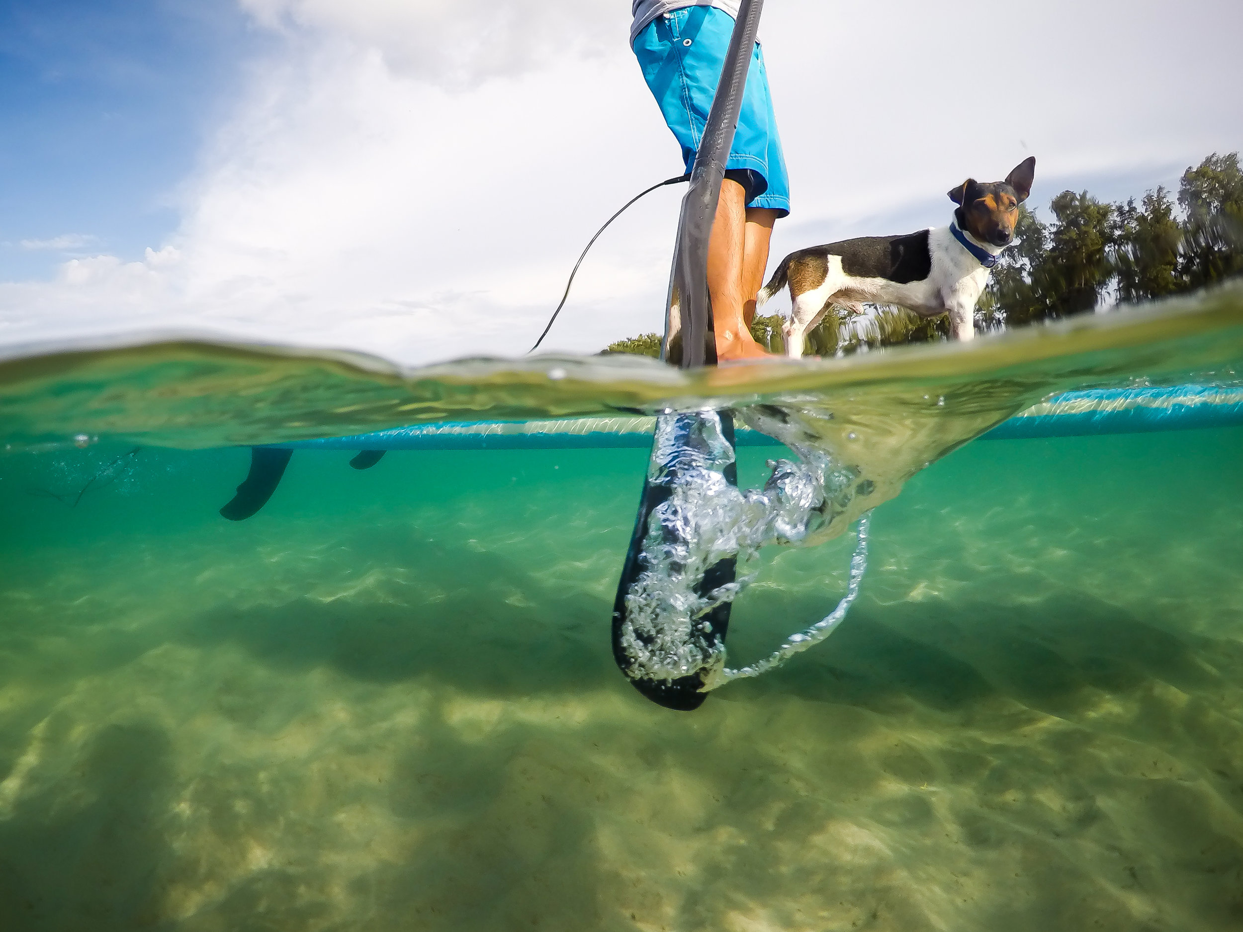 Learn SUP in Rameswaram, India