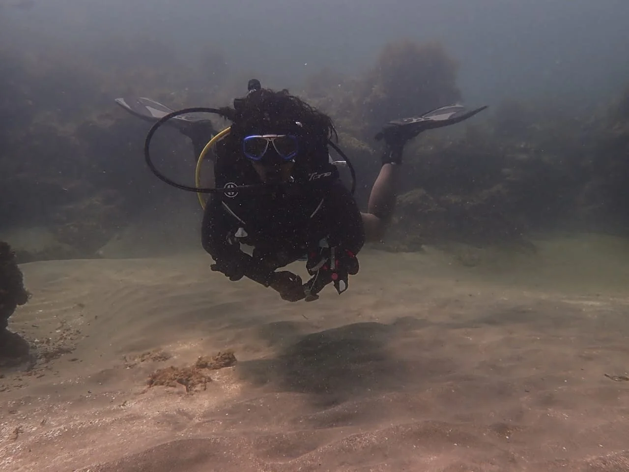 WhatsApp Image 2020-04-01 at 3.45.28 PM.jpeg