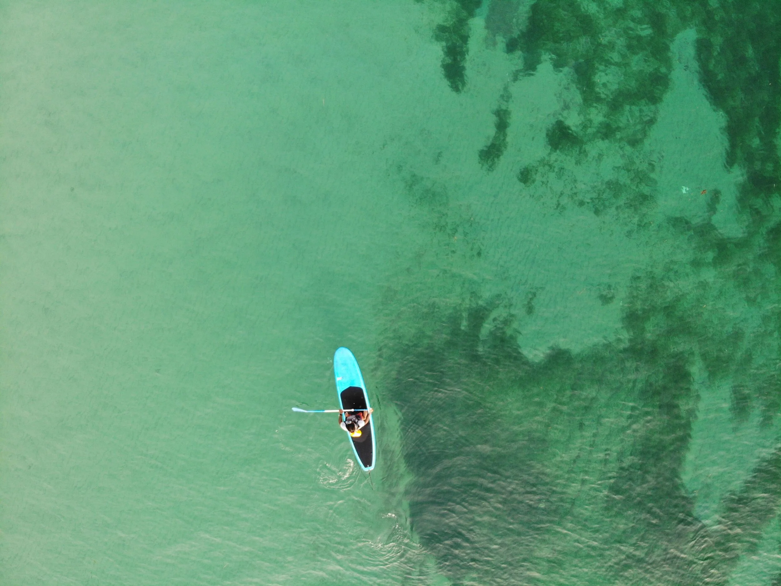 What is Stand Up Paddle or SUP?