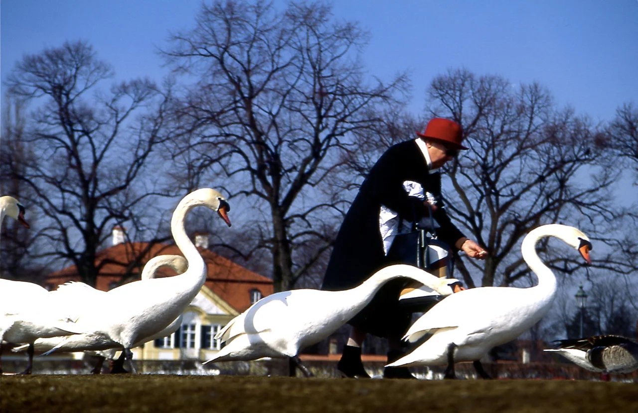 Geese Mama337.jpg