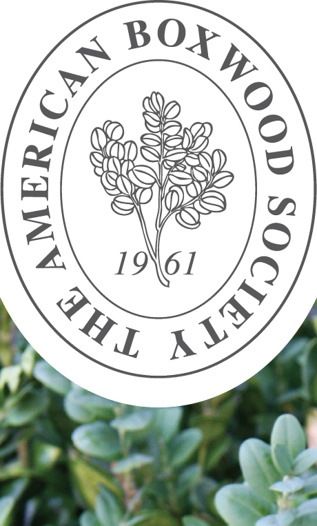 American Boxwood Society