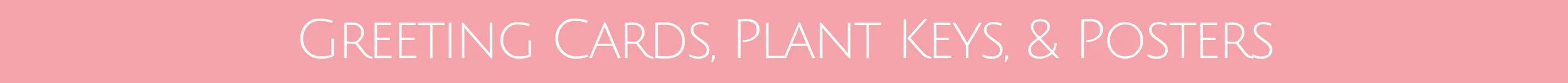 header_2.jpg