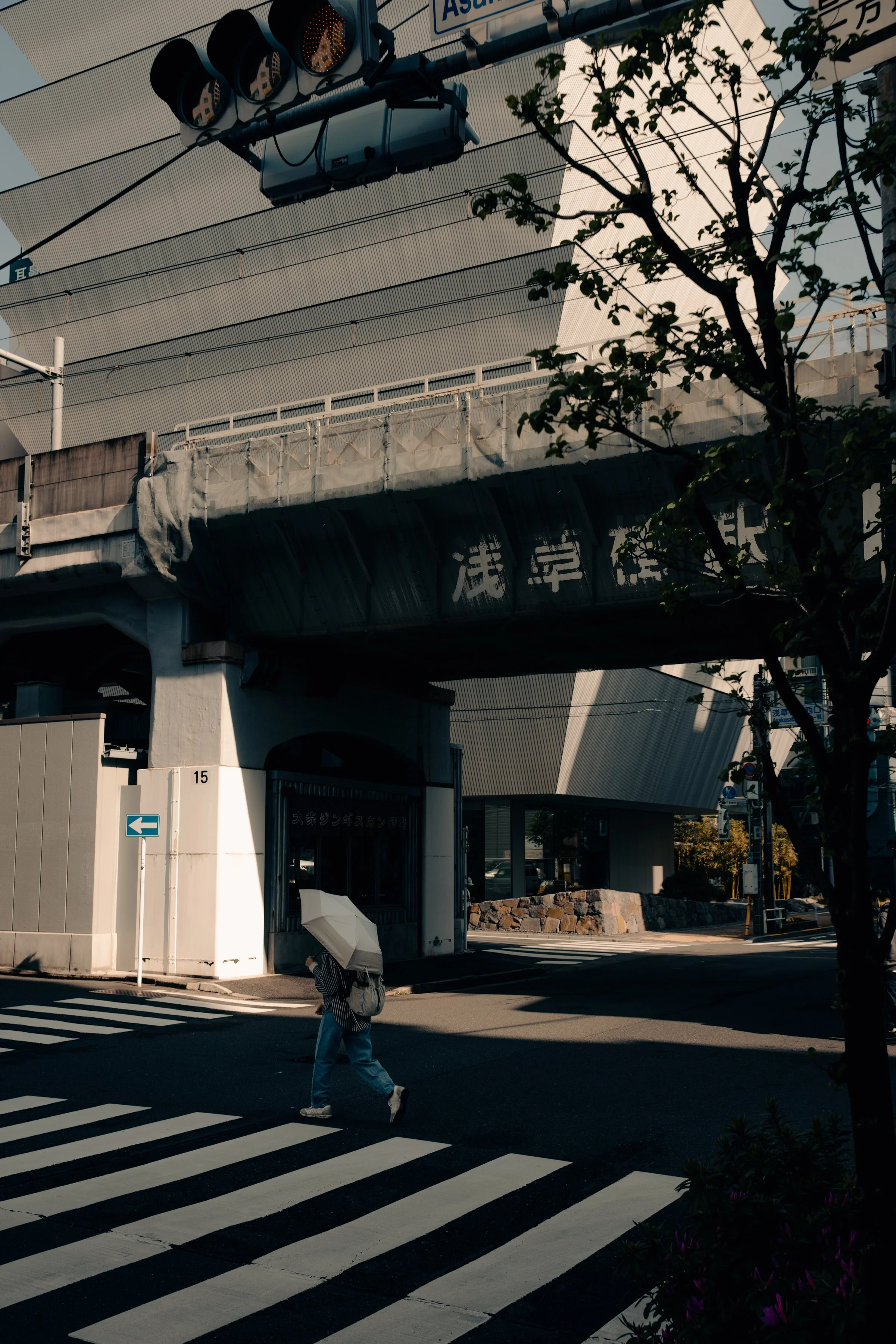 550A5162.jpg
