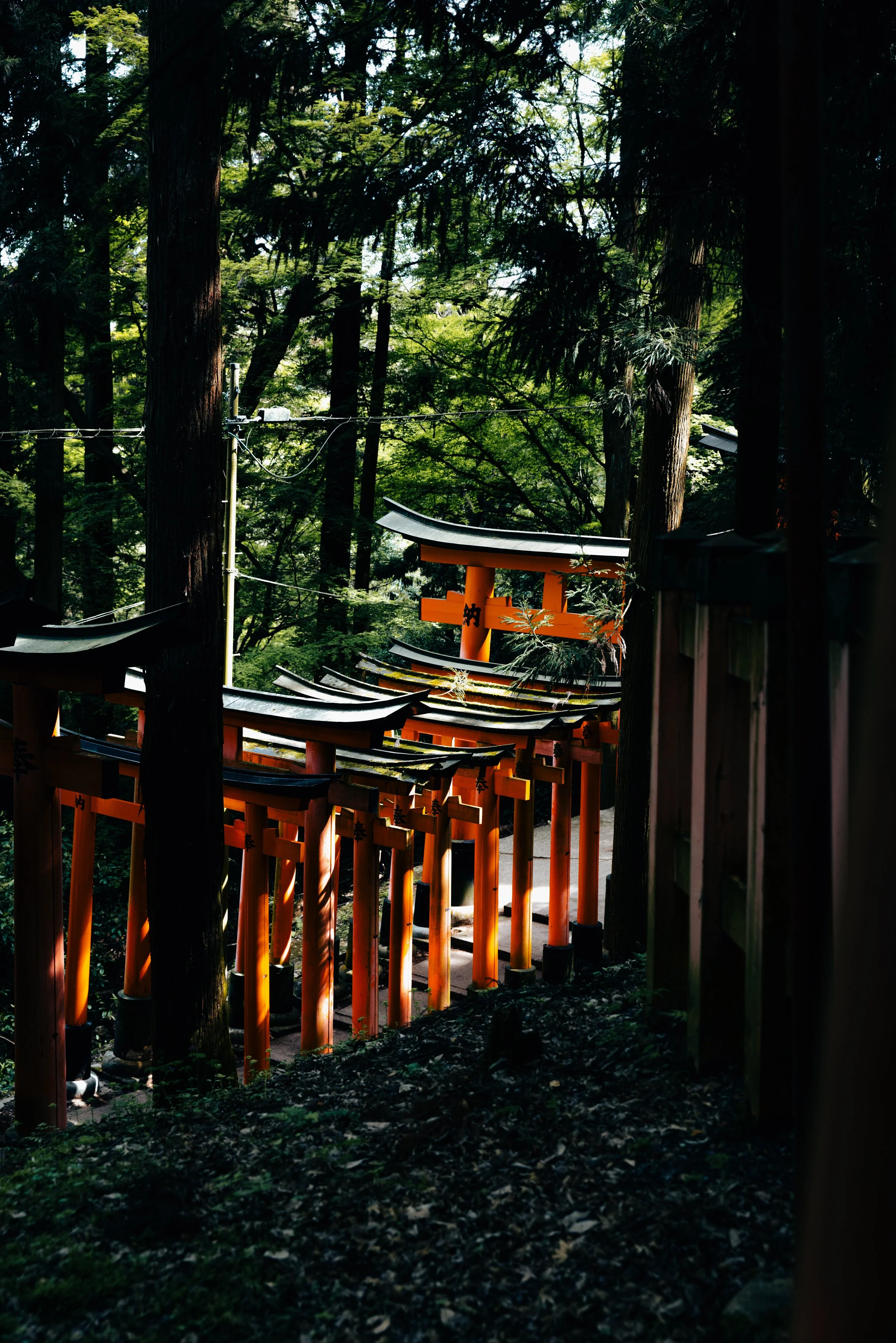 550A9179.jpg