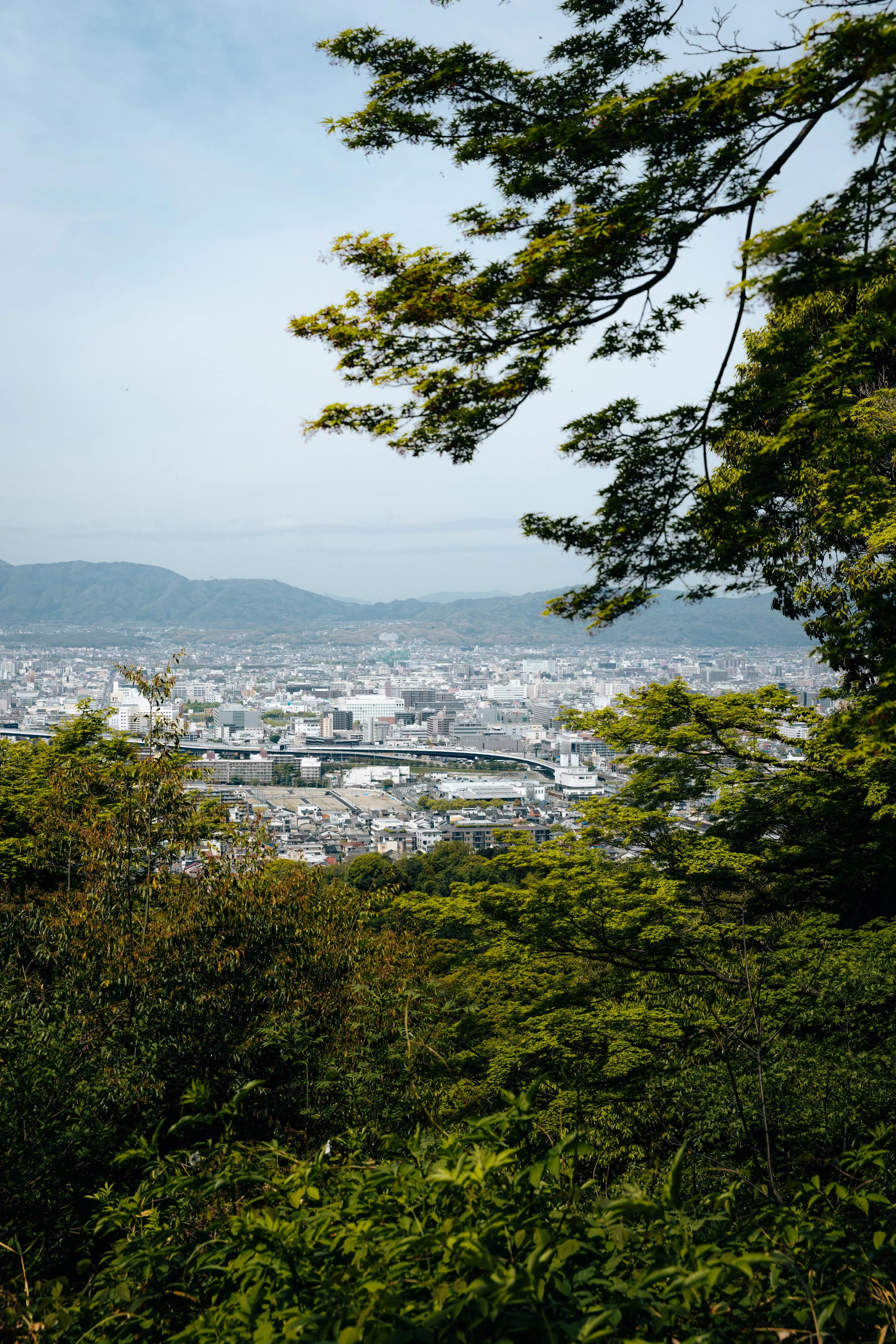 550A9193.jpg