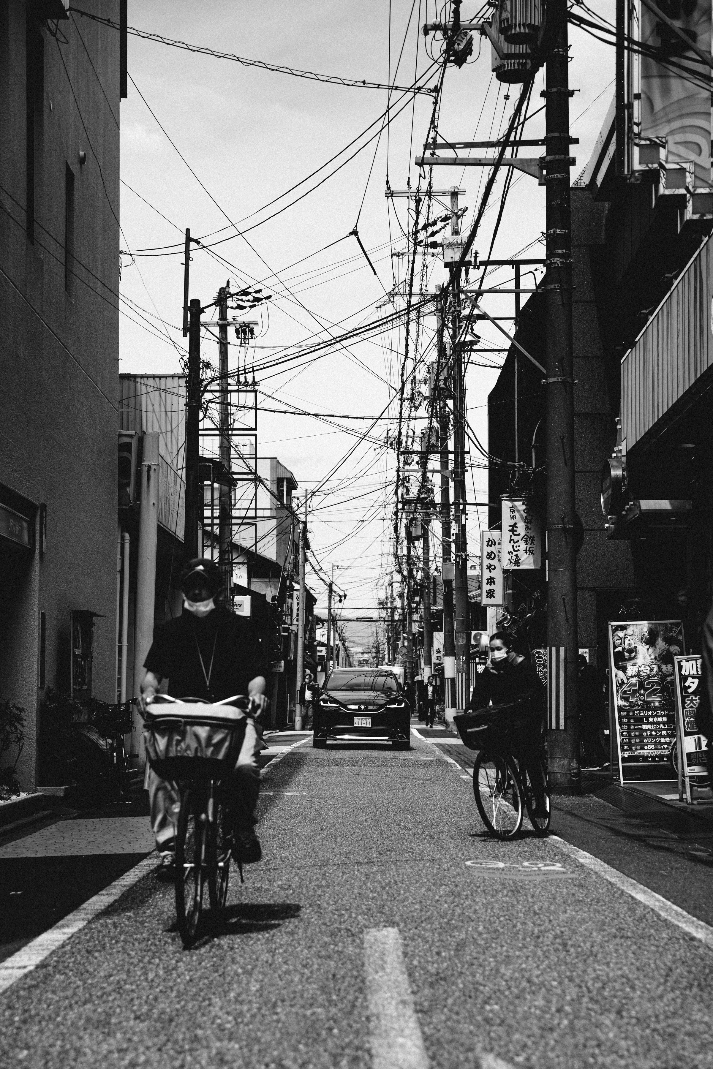 550A9241.jpg