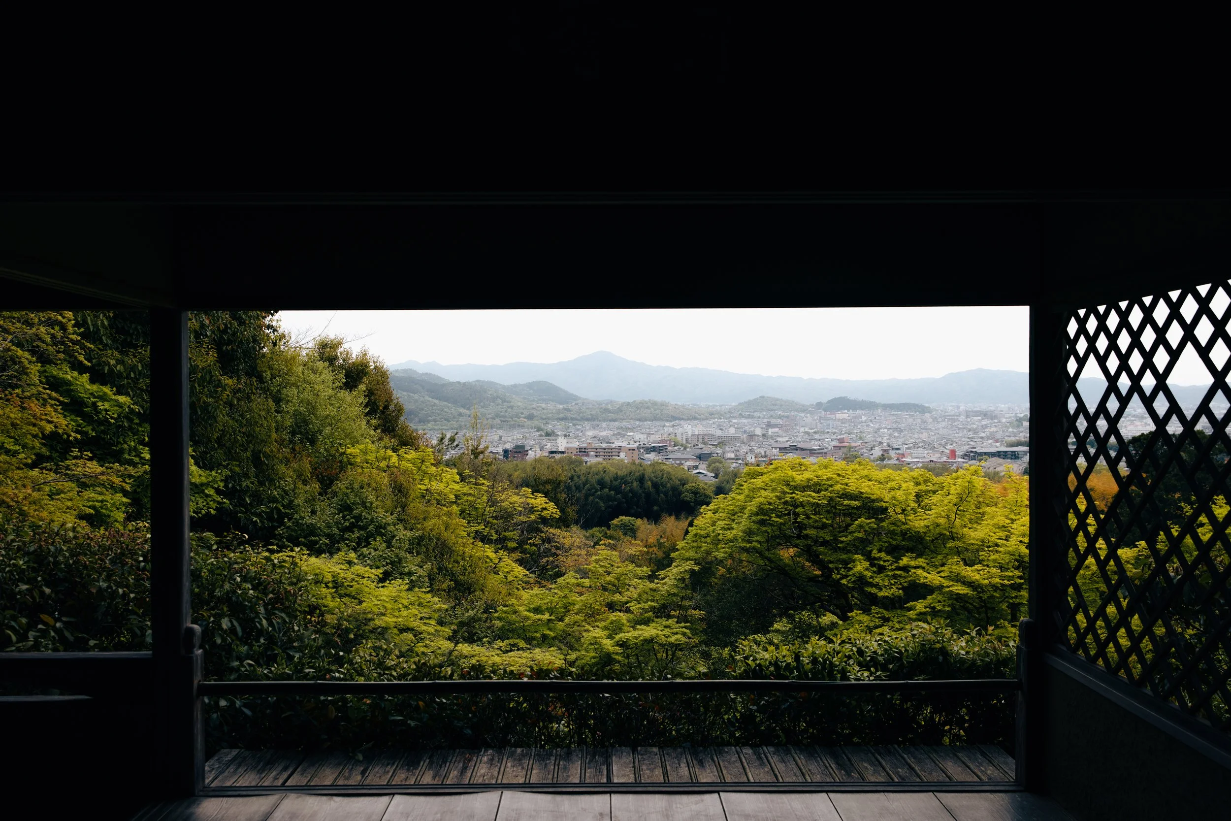 550A9260.jpg