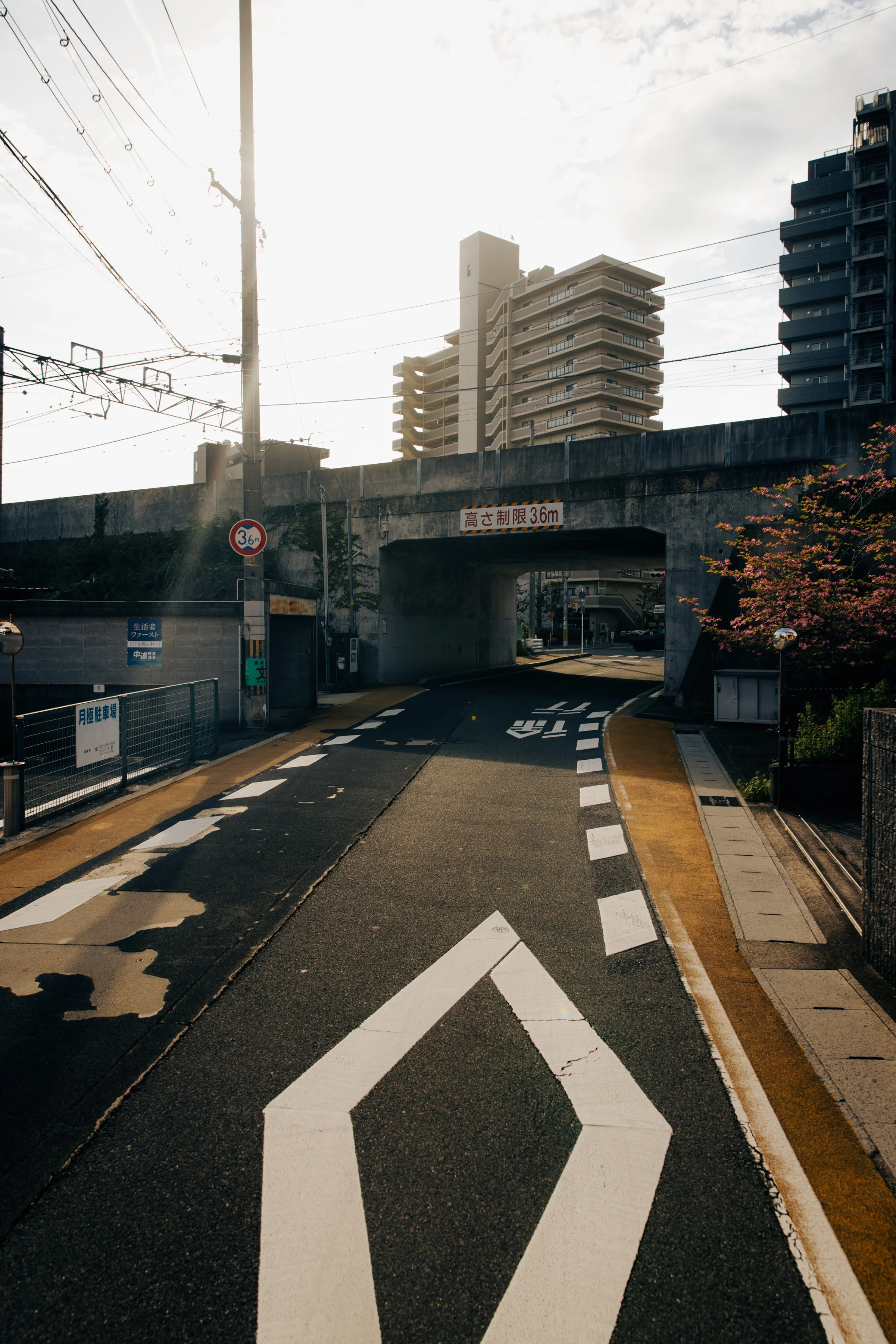 550A9333.jpg