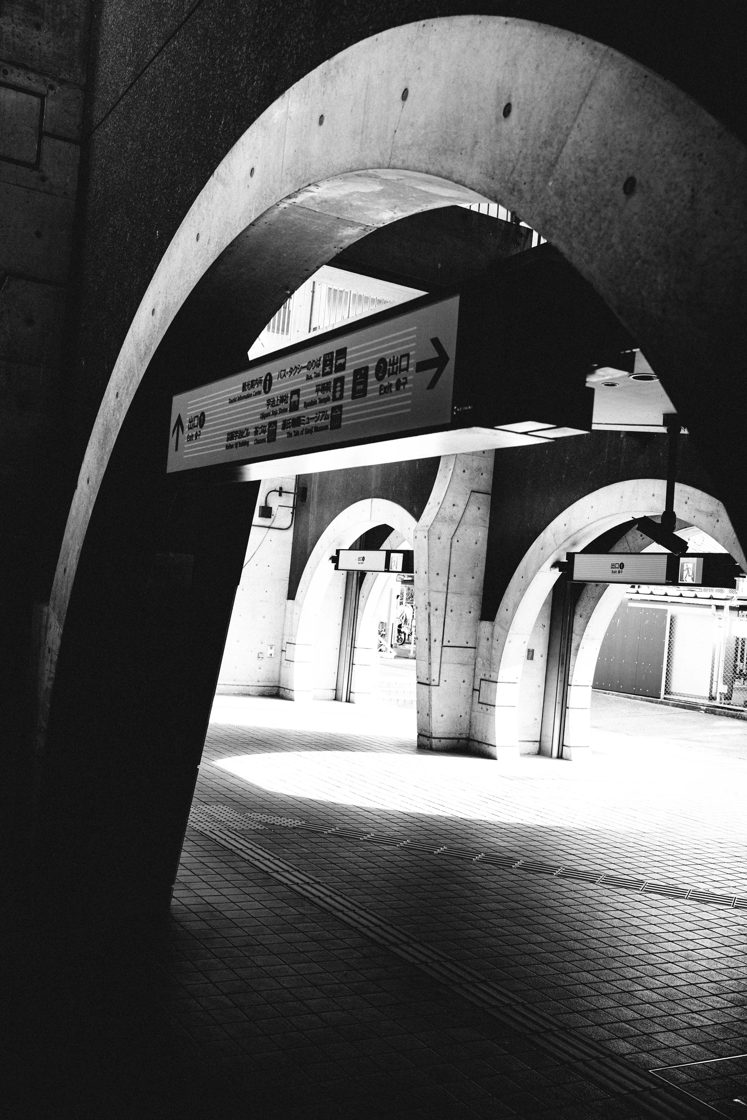 550A9351.jpg