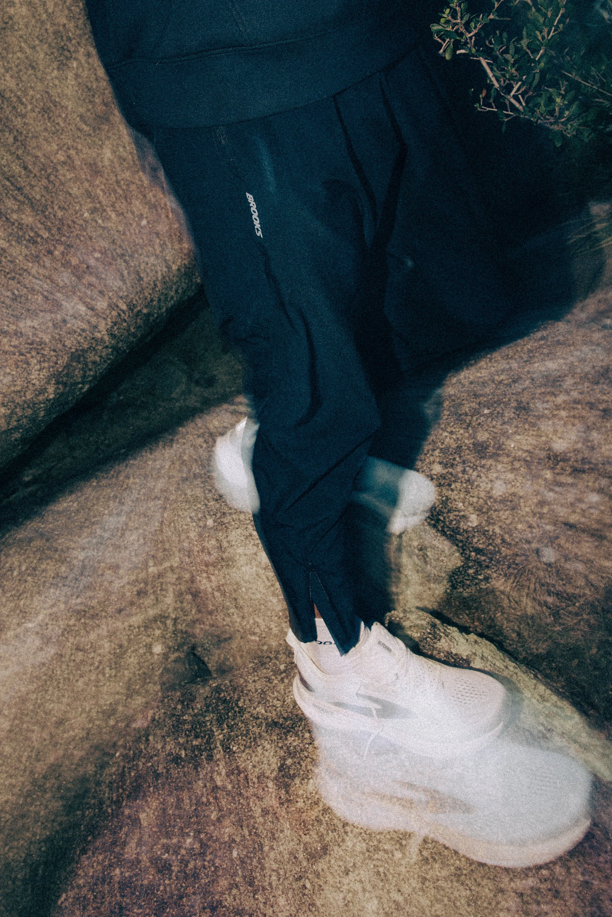 550A0003.jpg