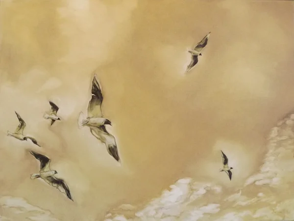 Soaring