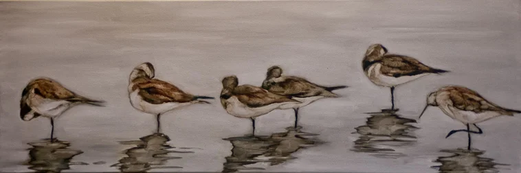 Sandpipers