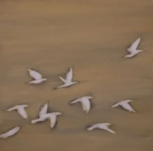 Flock (2)