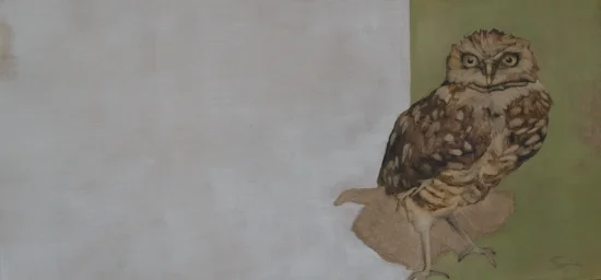 Hoot