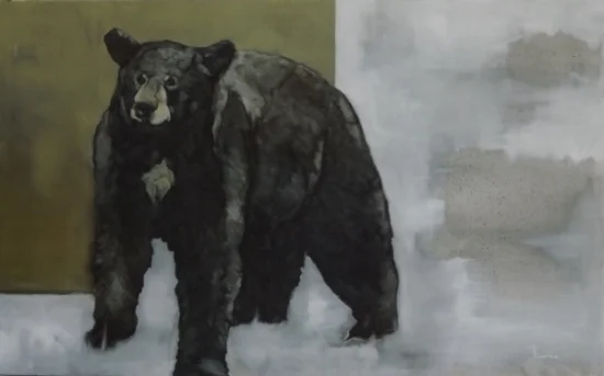 Ursa Minor