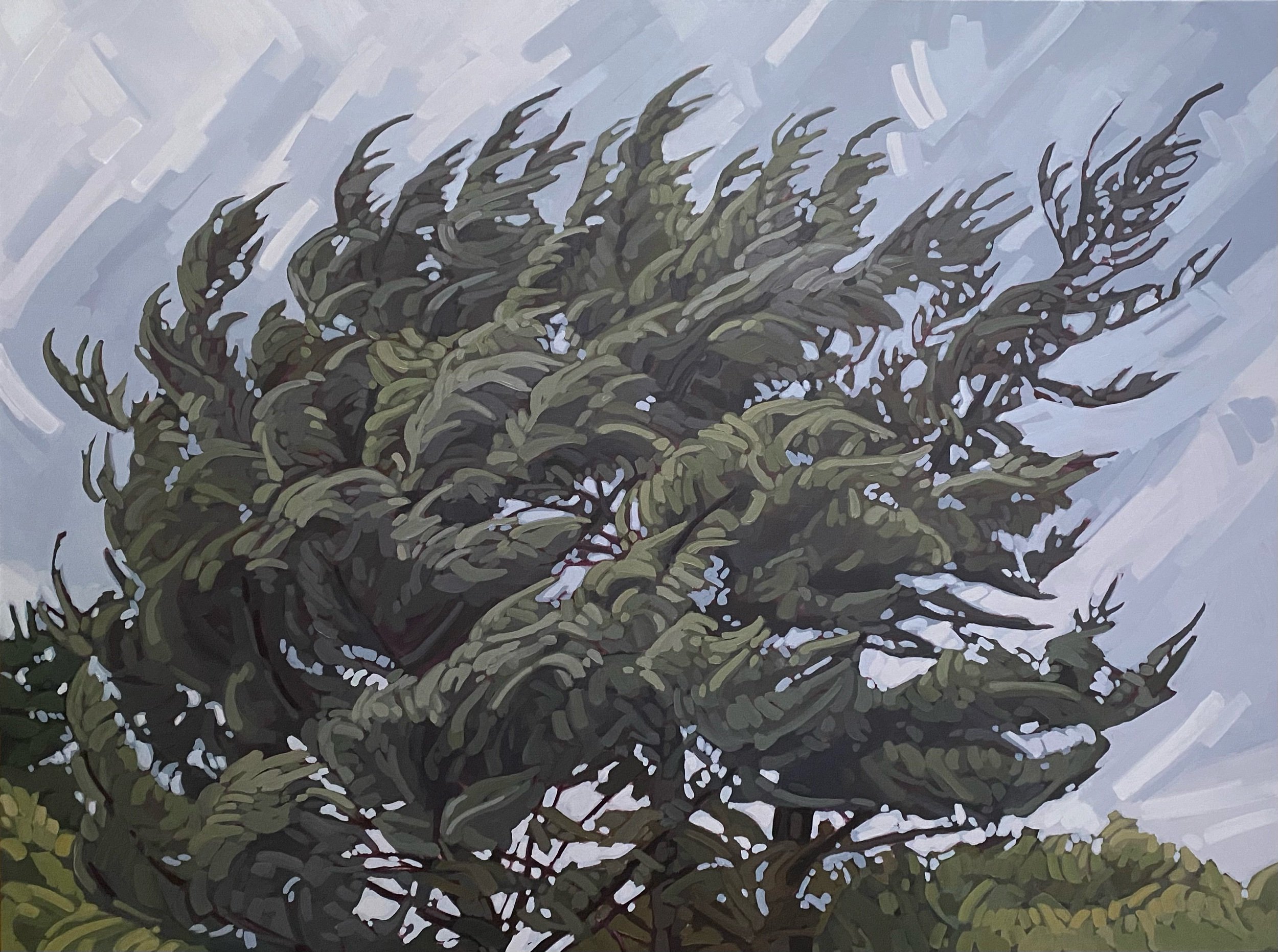 Carried by the Wind