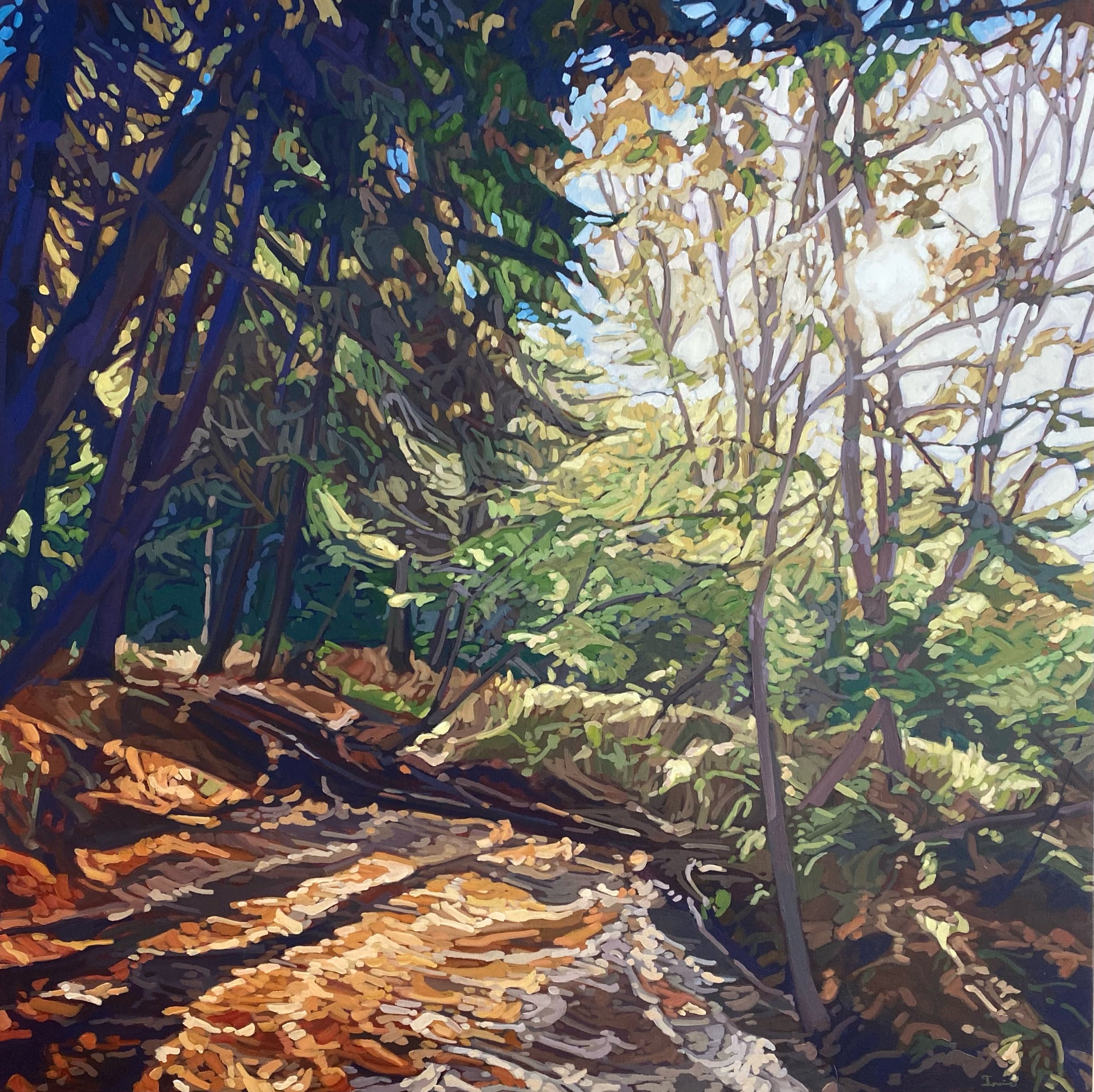 Forest Bathing