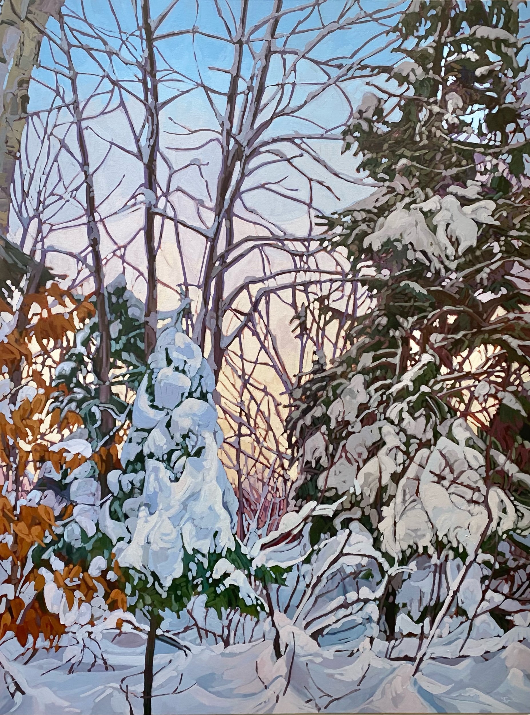 First Tracks