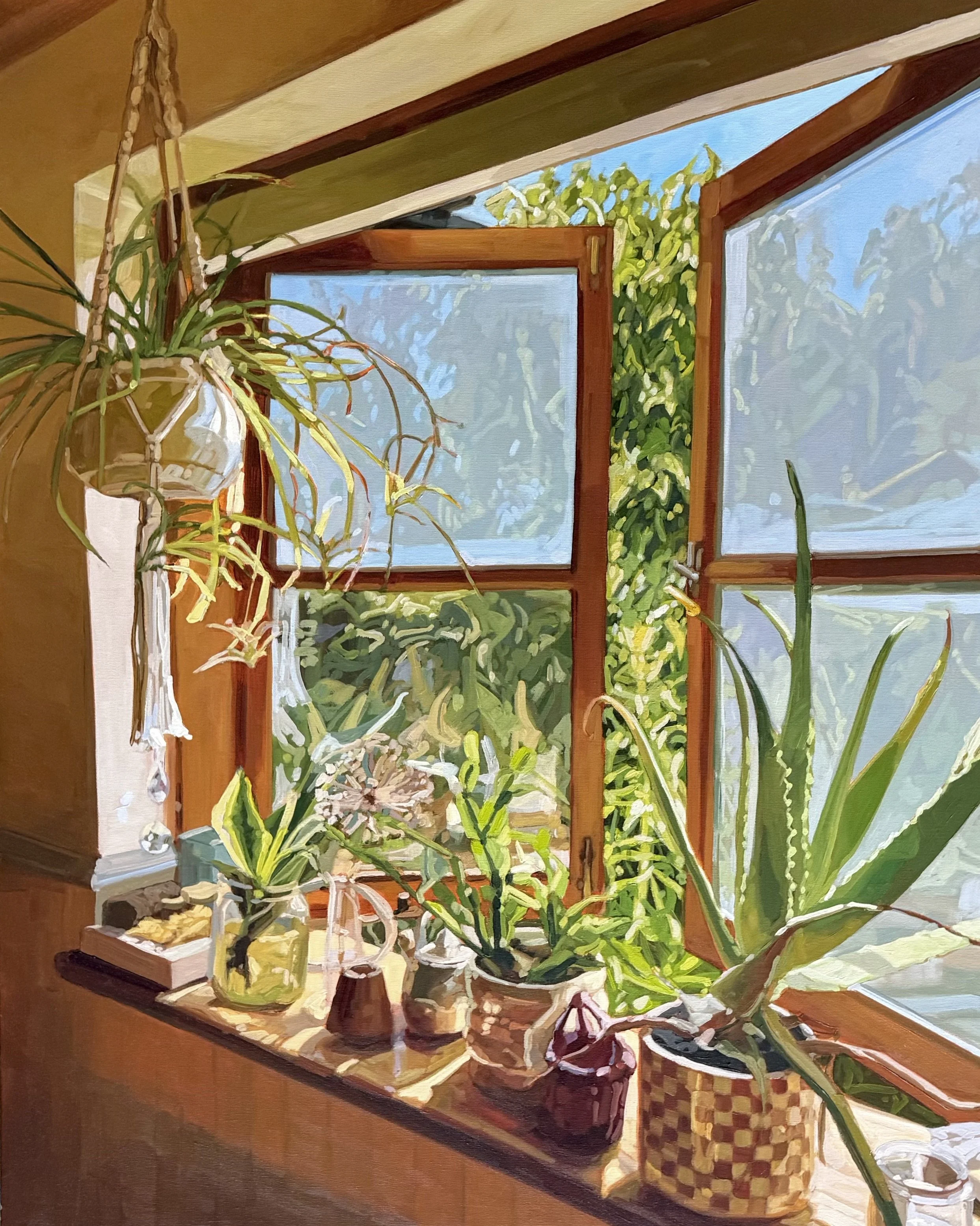 The Light Collectors 